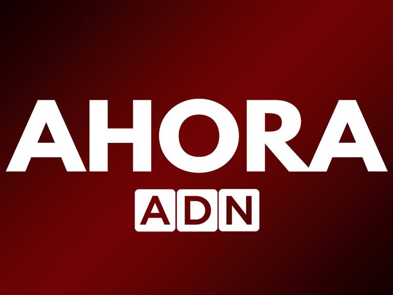 SHOA descarta riesgo de tsunami en Chile tras temblor registrado en el sur del país