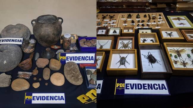 Policía de Investigaciones (PDI)