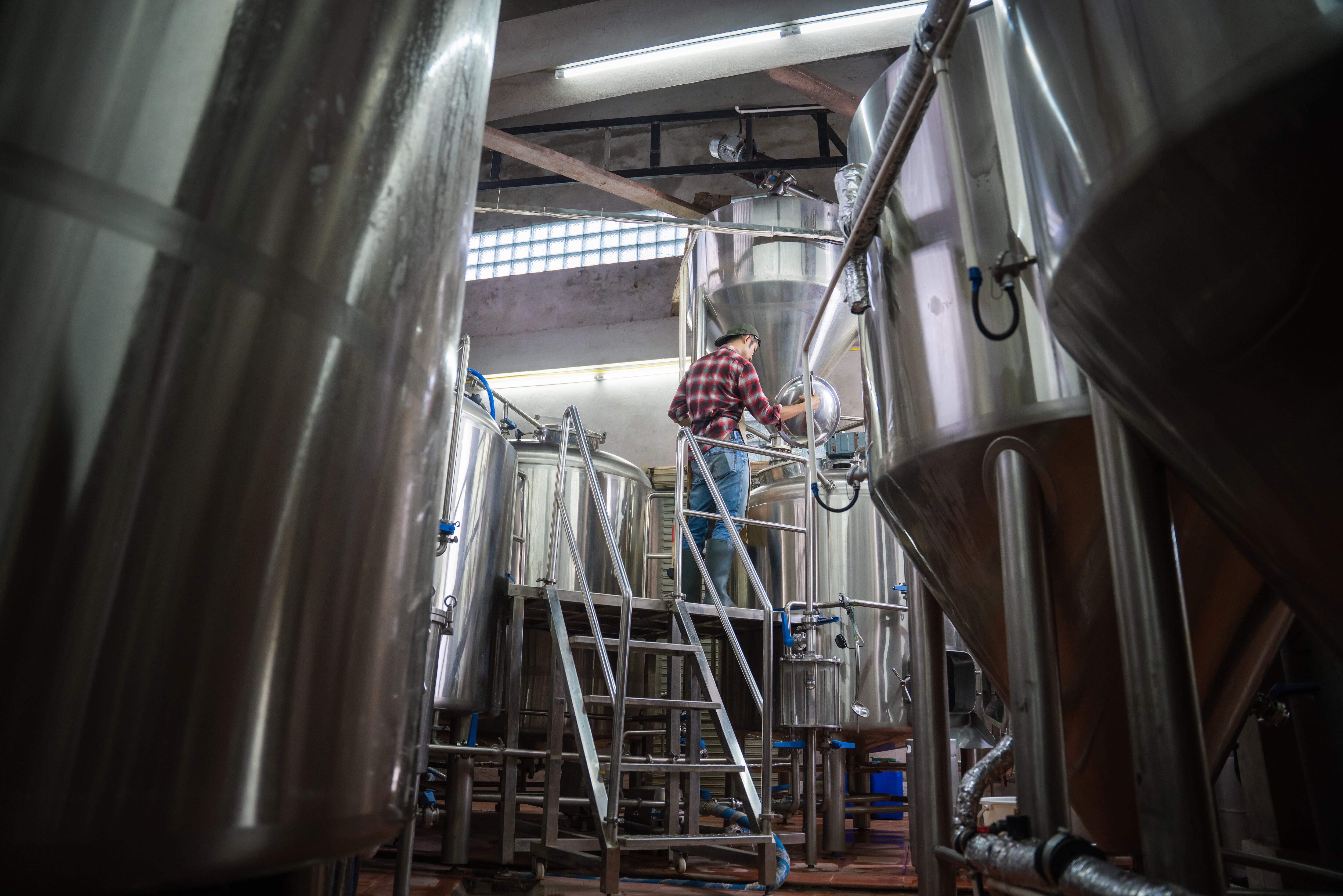 Mitos y verdades sobre cerveza