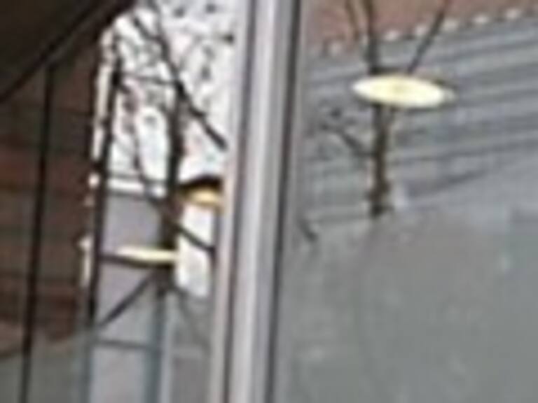 Superintendencia y AFP Modelo ofrecen el 0,77 de comisión para sus afiliados