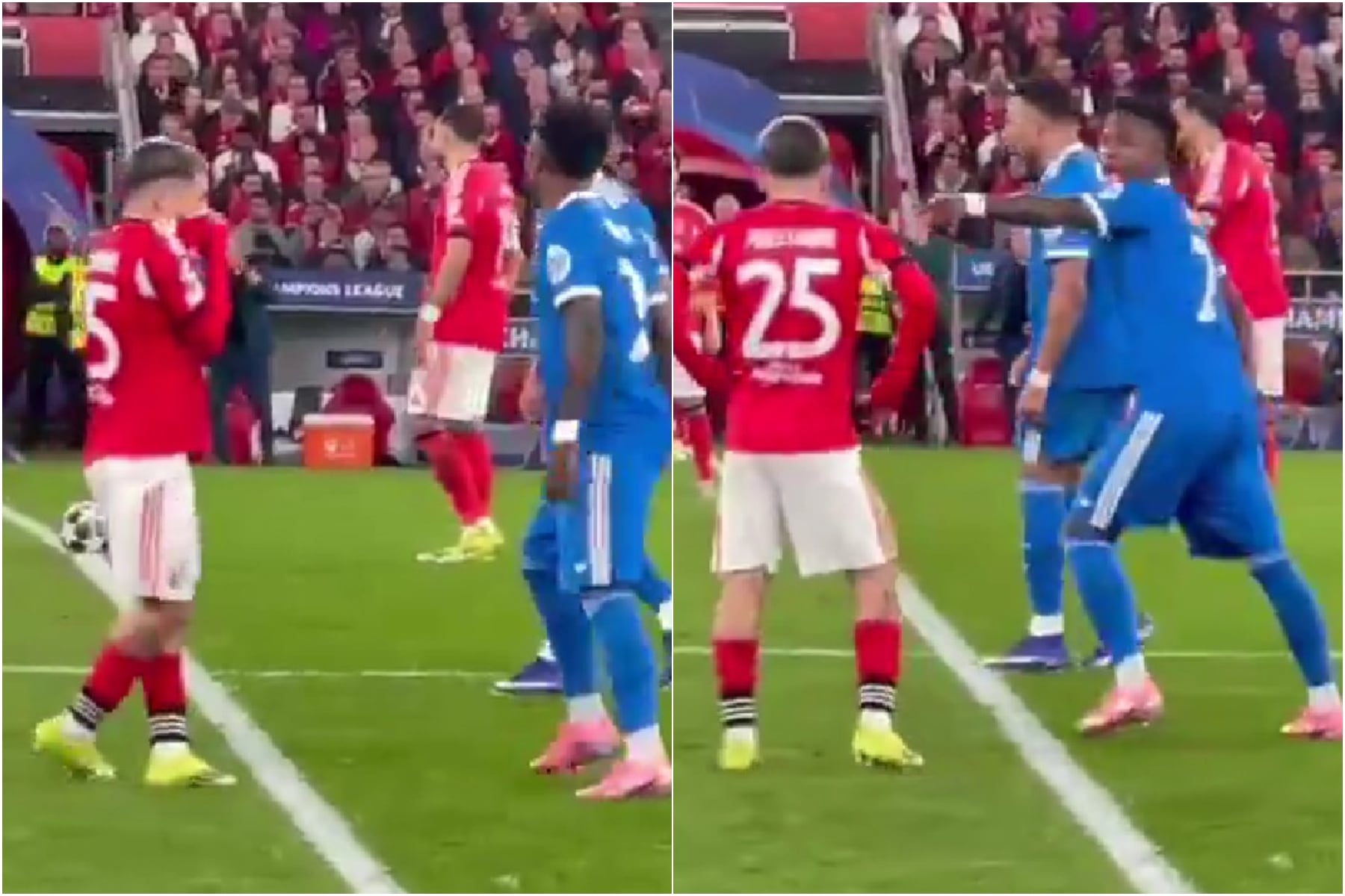 @SLBenfica