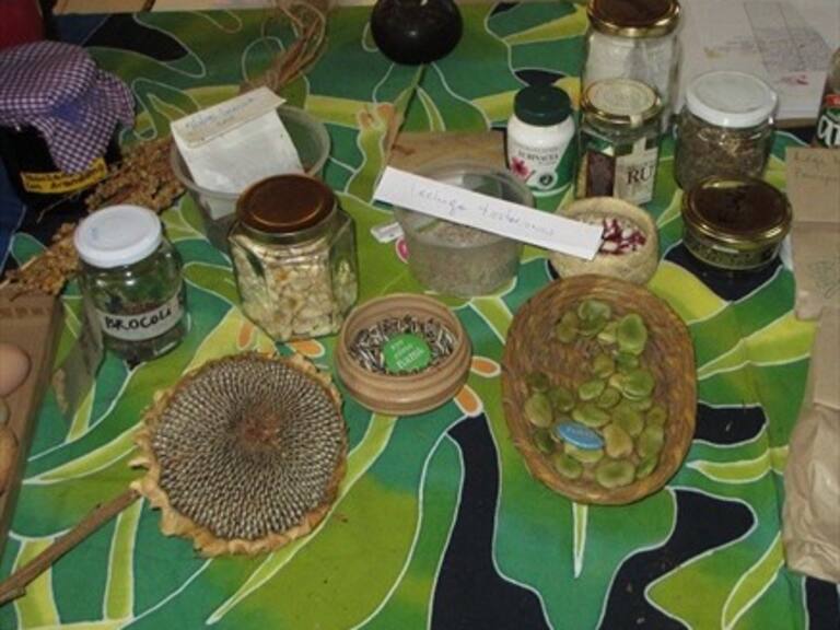 En MundoVivo conversamos con Valentina Vives de la Red de Semillas Libres