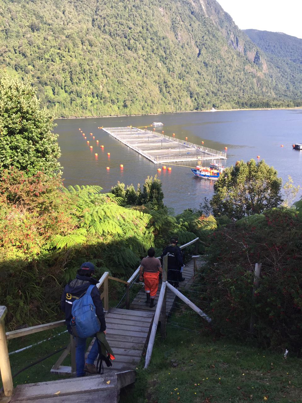 Fiscalización de Sernapesca / Sernapesca