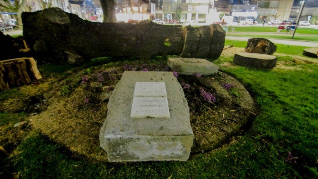 30 de AGOSTO de 2021/CONCEPCION
Empresa Preserva realizó talado de árbol con riesgo de caída en Parque Ecuador, lo que provocó una equivocada caída sobre el monumento a Simón Bolivar, destruyéndolo por completo.
FOTO:MATÍAS ARTIGAS/AGENCIAUNO