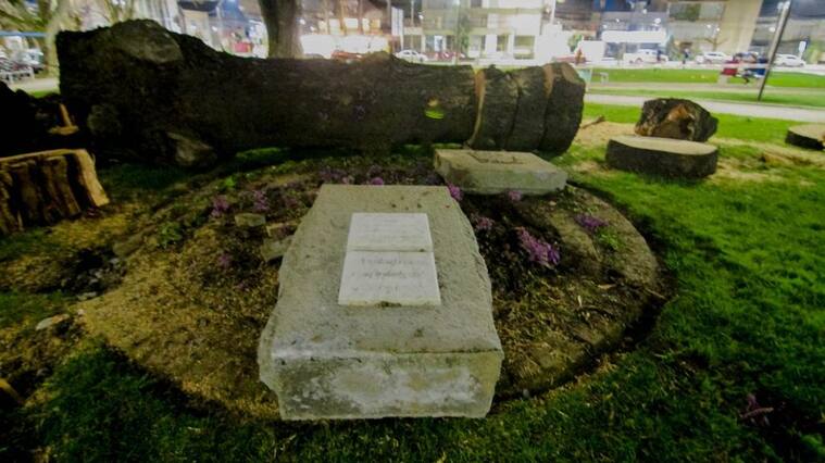 30 de AGOSTO de 2021/CONCEPCION
Empresa Preserva realizó talado de árbol con riesgo de caída en Parque Ecuador, lo que provocó una equivocada caída sobre el monumento a Simón Bolivar, destruyéndolo por completo.
FOTO:MATÍAS ARTIGAS/AGENCIAUNO
