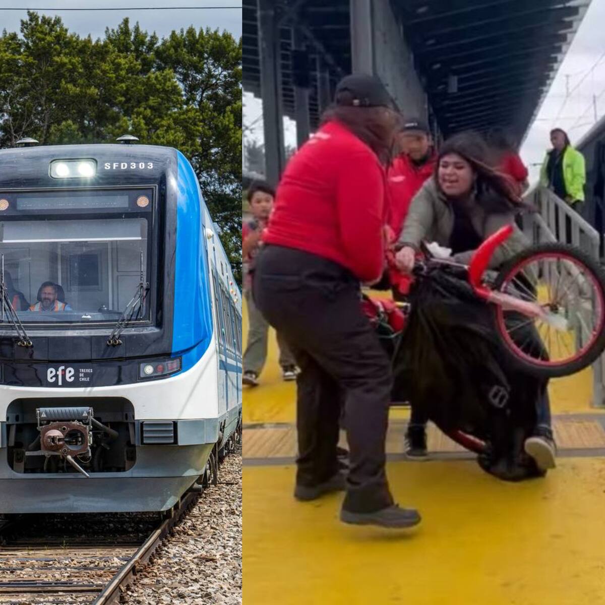 Tras video viral en tren del Biobío: EFE Sur respalda a guardia y explica expulsión de pasajera tras forcejeo