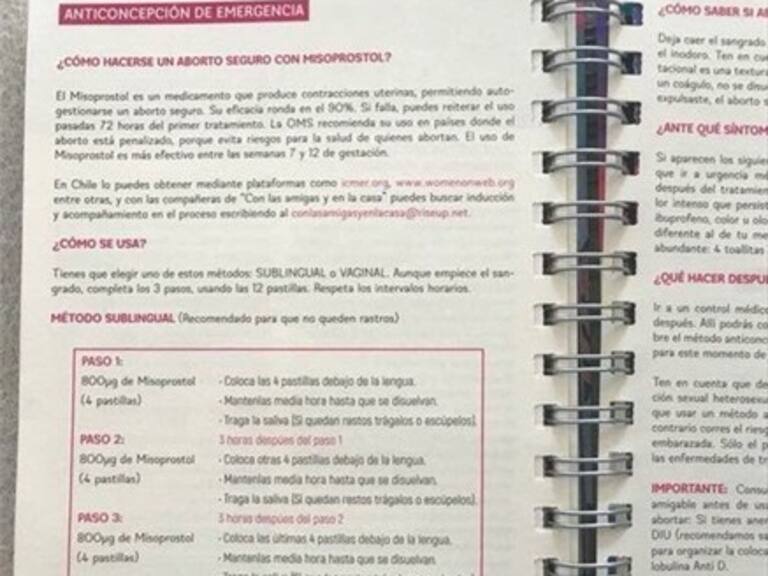 Ginecólogos e instructivo de aborto «casero»: Su promoción «no es adecuada»