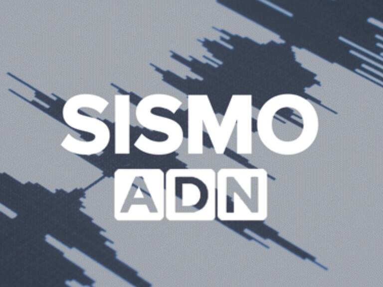 SHOA descarta riesgo de tsunami en las costas nacionales tras sismo registrado en cuenca del Pacífico