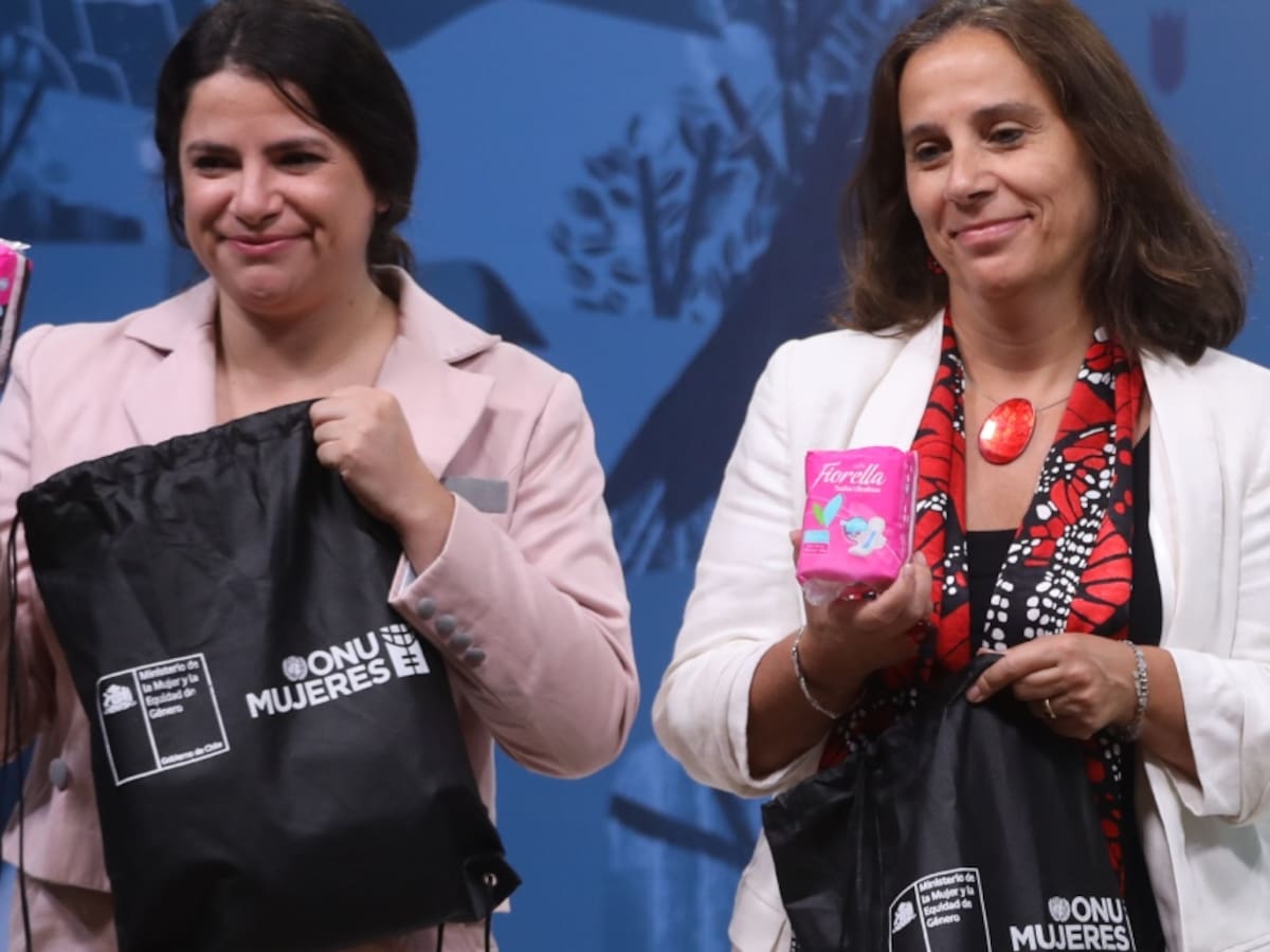 Jefa de ONU Mujeres en Chile y entrega de kits menstruales para afectadas por incendios: «Este es un tema que a veces se pasa por encima»