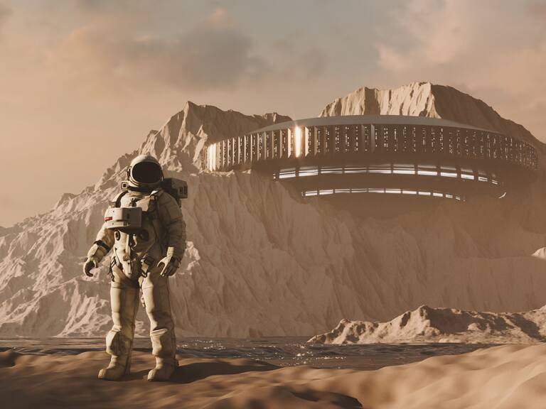 Lo dice la ciencia: esta es la mejor mascota que puedes tener en el espacio