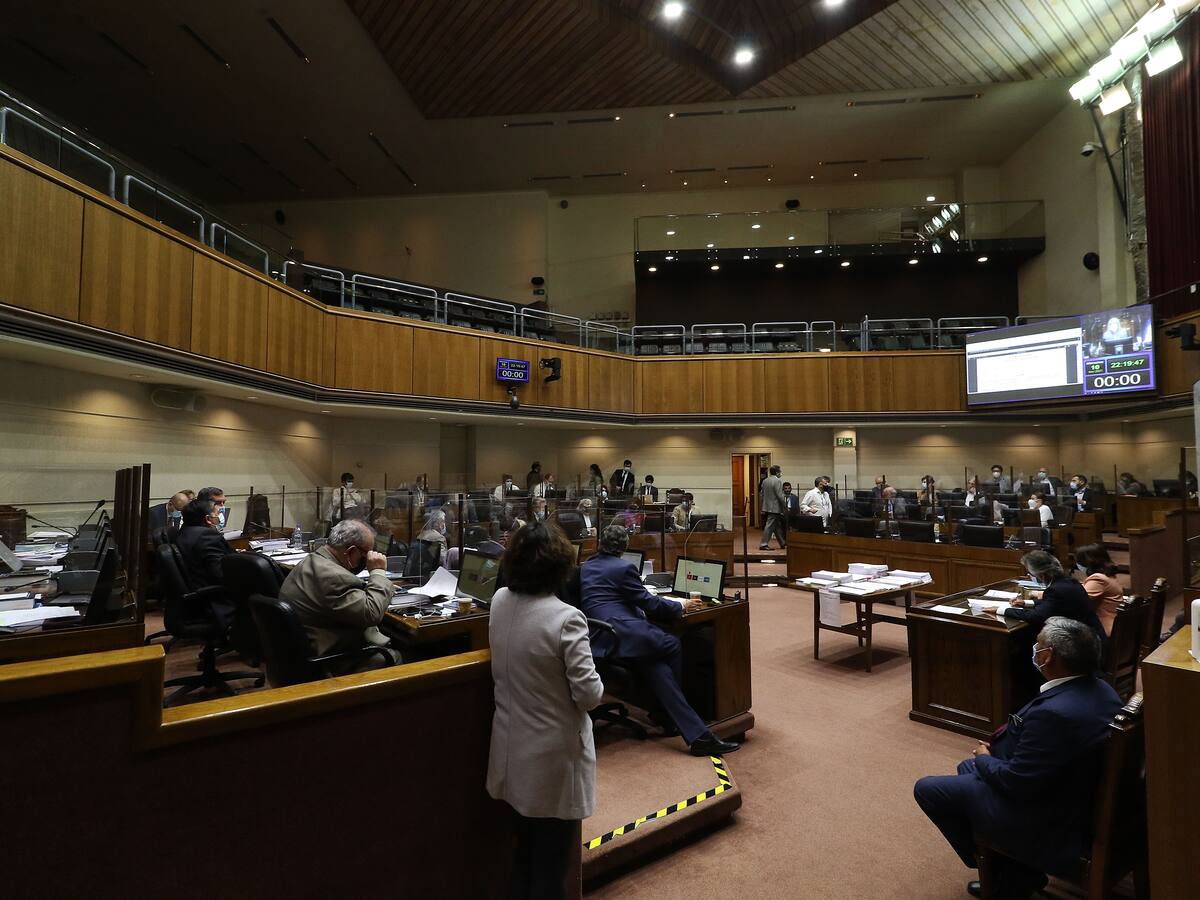 Elecciones 2021: ¿Cuántos integrantes tendrá el Senado desde marzo del próximo año?