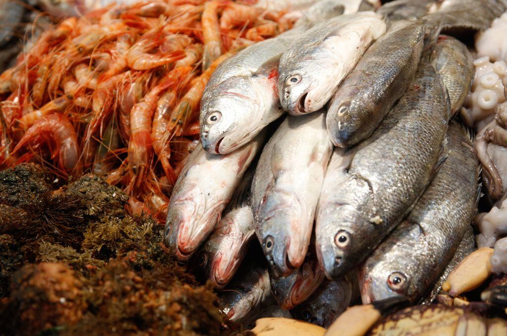 ¿Por qué se come pescado en Semana Santa?: El Doctor Chef nos explica