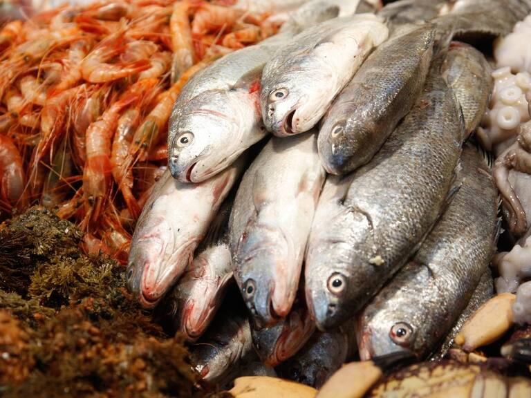 Semana Santa en la región de Valparaíso: Seremi de Salud refuerza fiscalización de productos en Caleta Portales