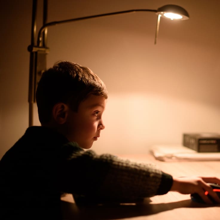 Alerta por acceso a pornografía en niños desde los 6 años: experta entrega pautas a padres para abordar el tema sin culpas