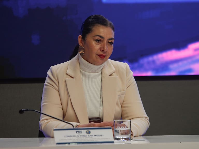 Subdirectora de la PDI, Consuelo Peña