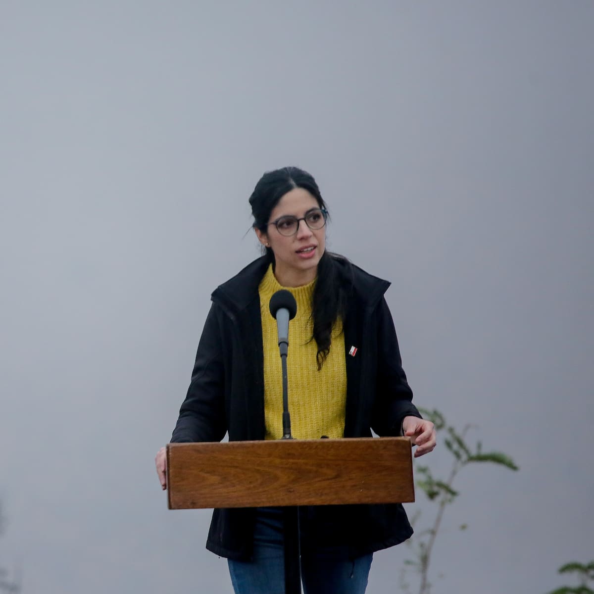 “Fue la mejor decisión”: Ministra Toledo defiende el retiro de 43 decretos ambientales desde Contraloría