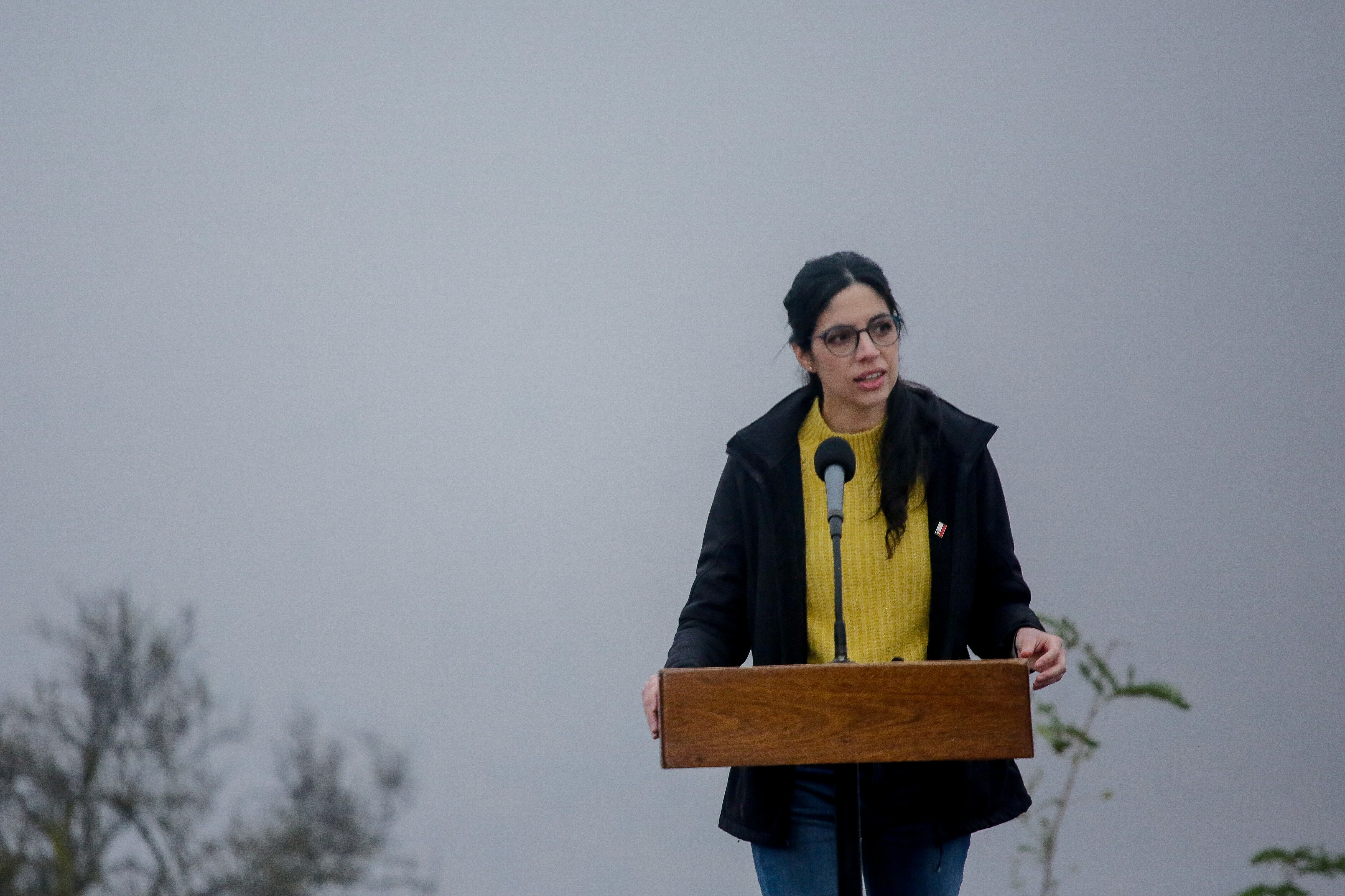 La ministra Francisca Toledo | Agencia UNO