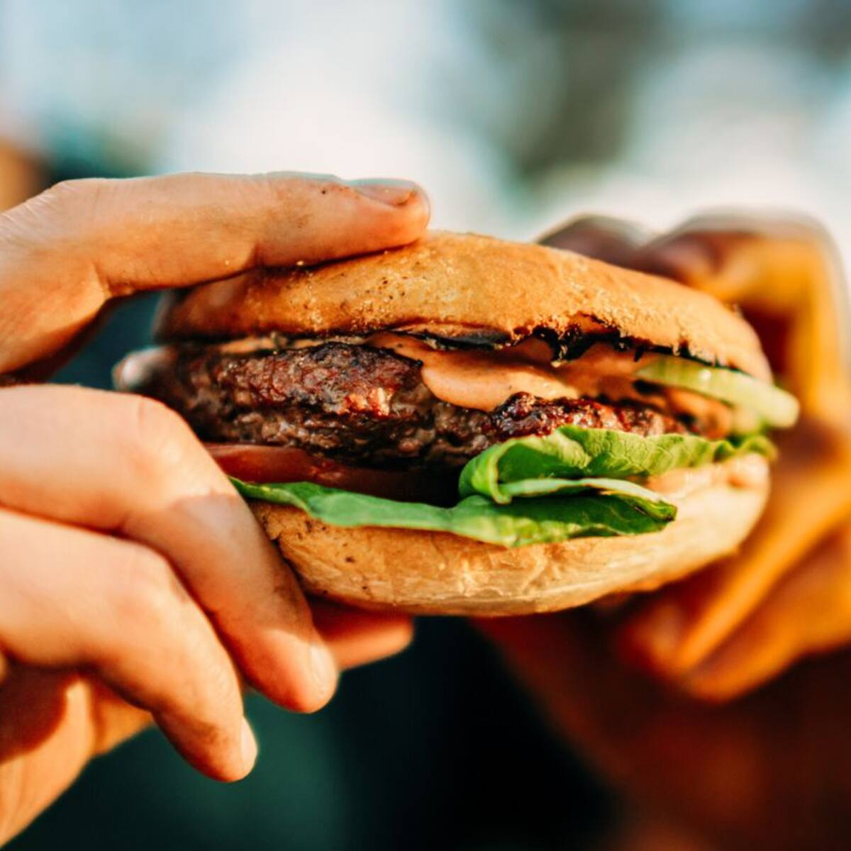 Parlamento Europeo aprueba prohibir el término “hamburguesa vegana”