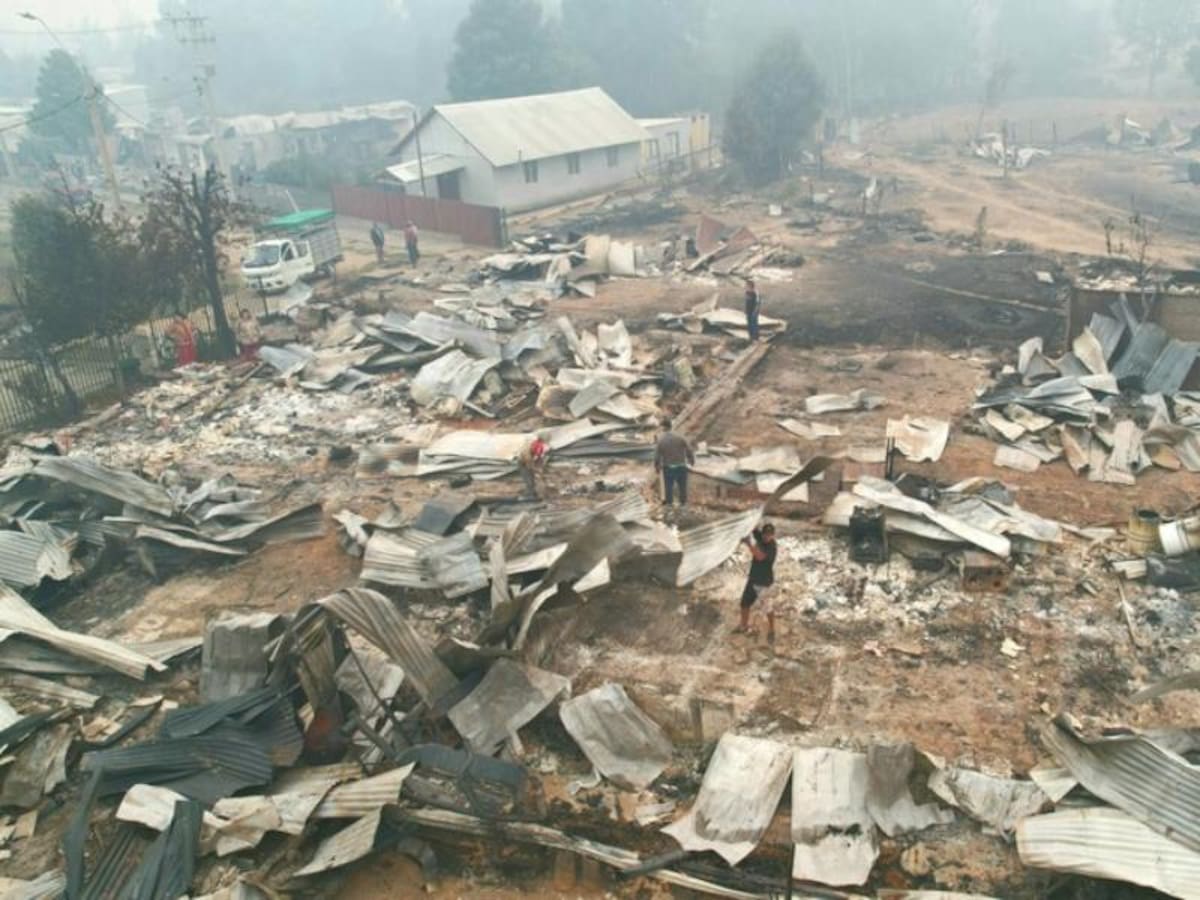 Pancho Saavedra convoca a empresarios y artistas a jornada solidaria para ayudar a damnificados por incendios forestales