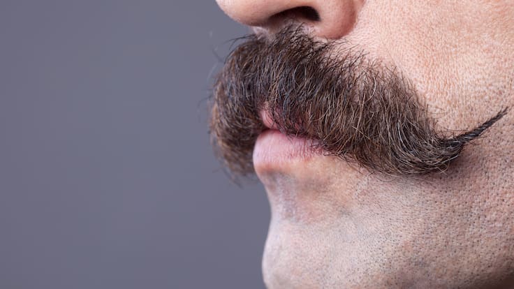 Este es el bigote más atractivo para las mujeres solteras, según una nueva encuesta: famoso chileno ya lo tiene