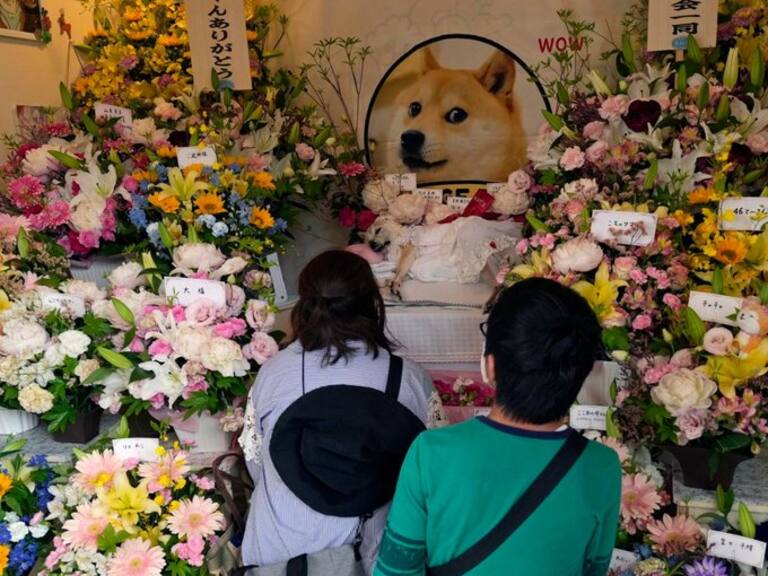 Decenas de japoneses despiden con flores a Kabosu, la perrita que inspiró el famoso meme Doge