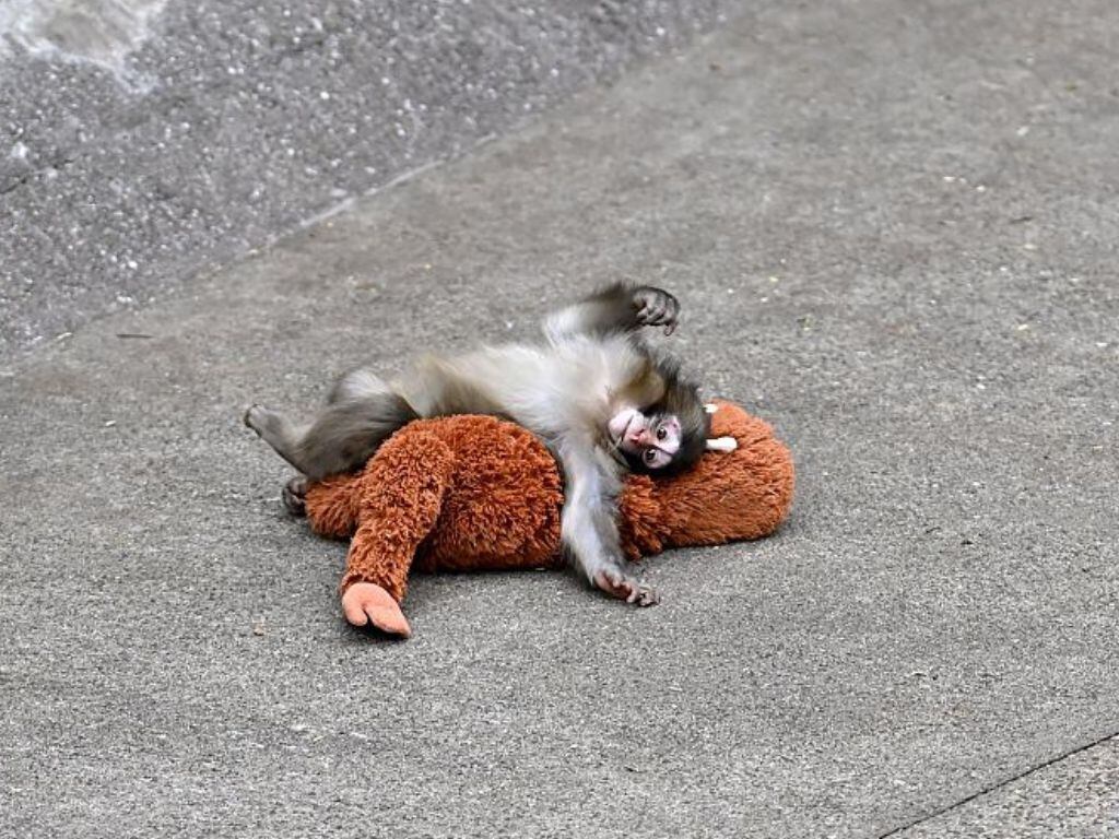 Getty Images