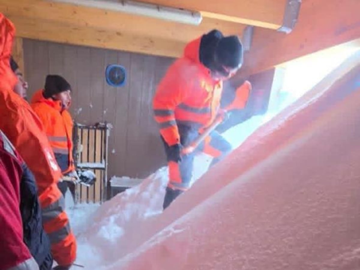 Cedida