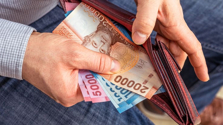 PGU 2025: Quiénes pueden recibir hasta $250 mil y cómo hacer el trámite (paso a paso)