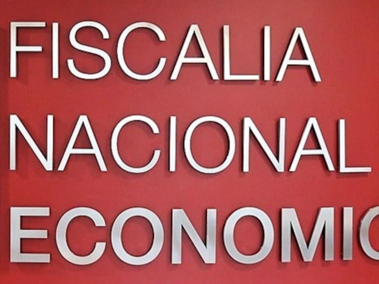 FNE acusa colusión de líneas de buses y taxibuses en La Araucanía