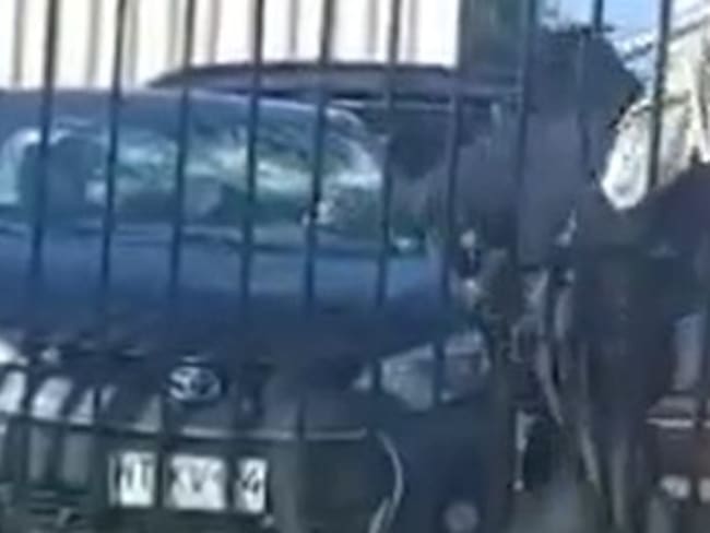 Día de furia: funcionaria de Cesfam destrozó vidrios del auto de su jefa