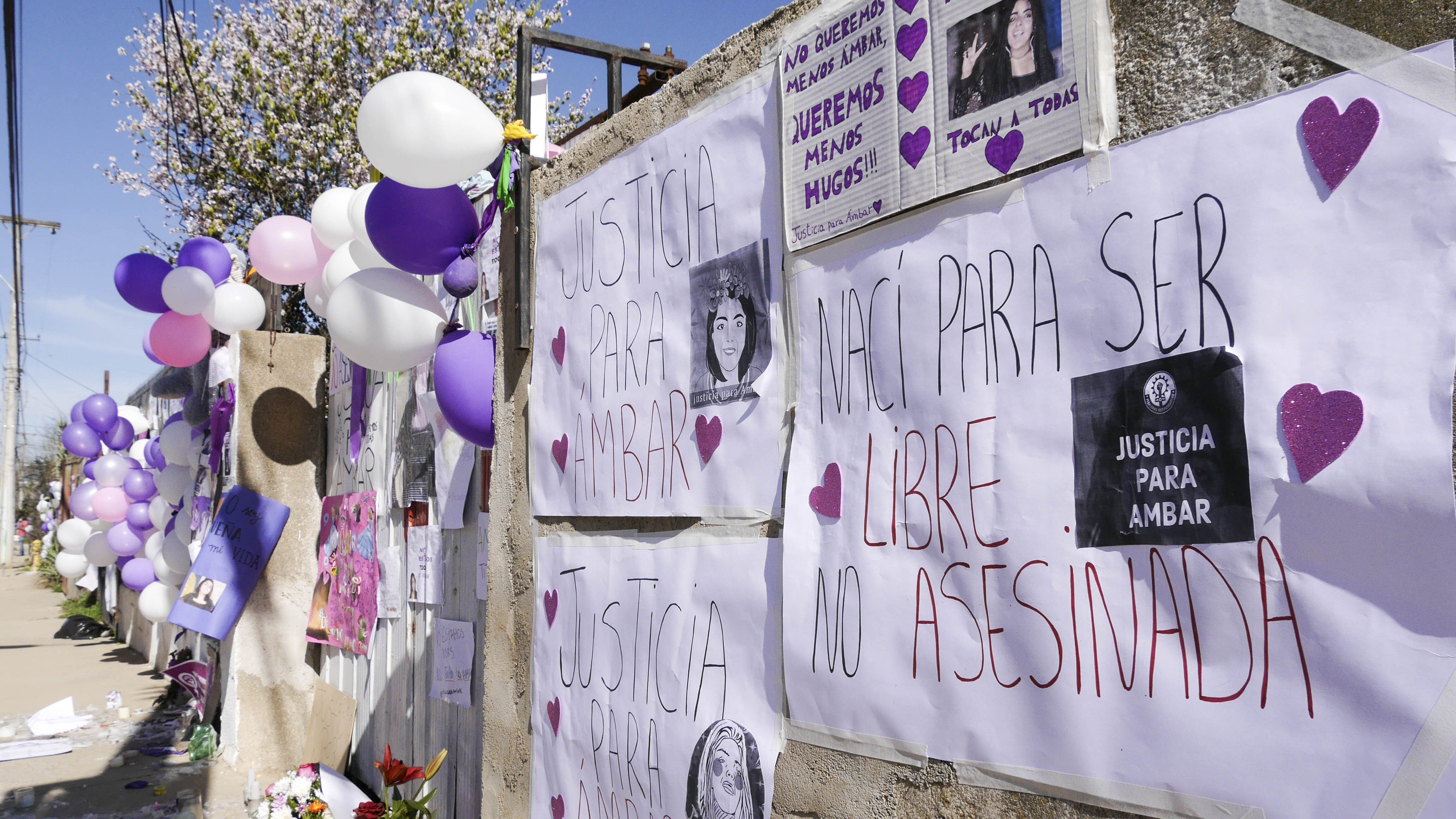 Homicidio de Ámbar Cornejo: Defensa de Hugo Bustamante pedirá inimputabilidad por problemas psiquiátricos
