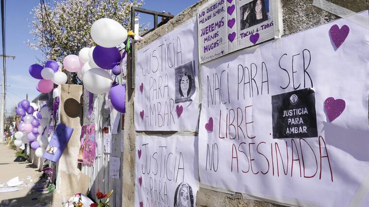 Homicidio de Ámbar Cornejo: Defensa de Hugo Bustamante pedirá inimputabilidad por problemas psiquiátricos