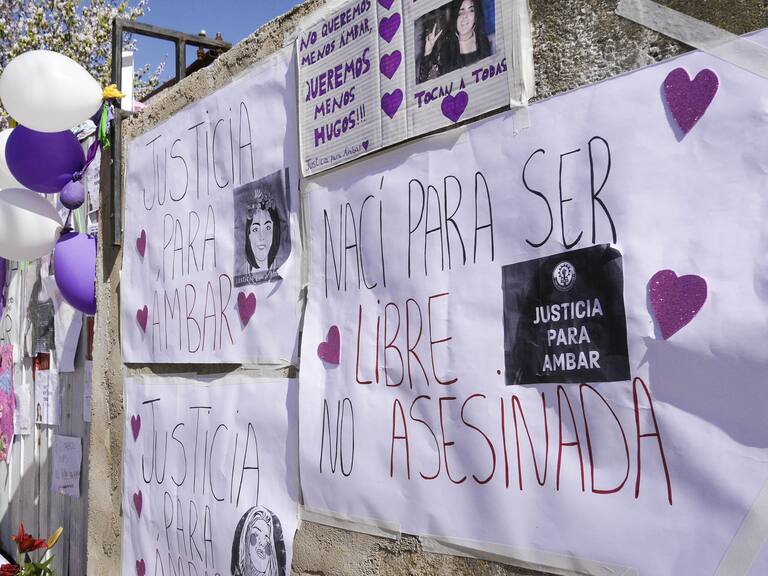 Homicidio de Ámbar Cornejo: Defensa de Hugo Bustamante pedirá inimputabilidad por problemas psiquiátricos