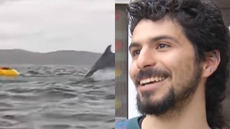 “Es como cuando te golpea una ola”: El relato del joven que fue tragado por una ballena en la región de Magallanes