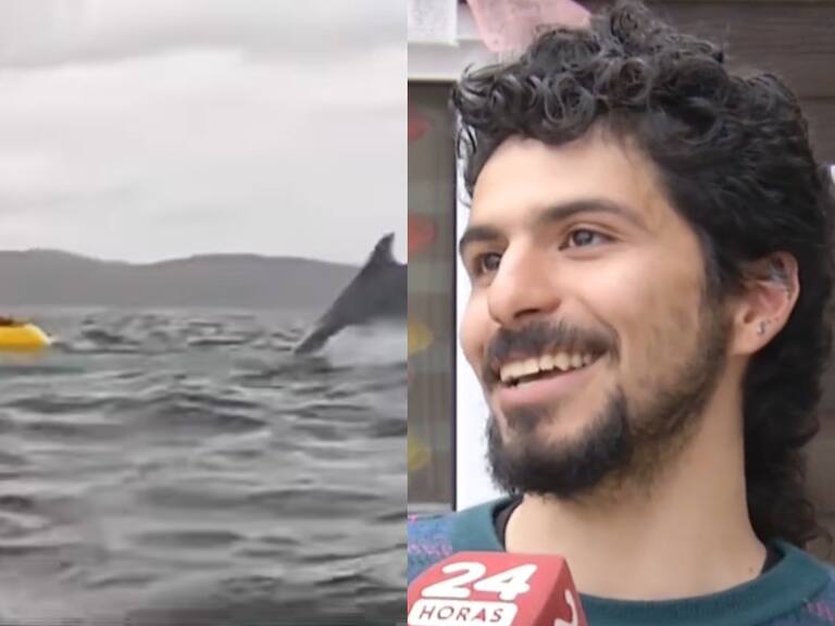 “Es como cuando te golpea una ola”: El relato del joven que fue tragado por una ballena en la región de Magallanes