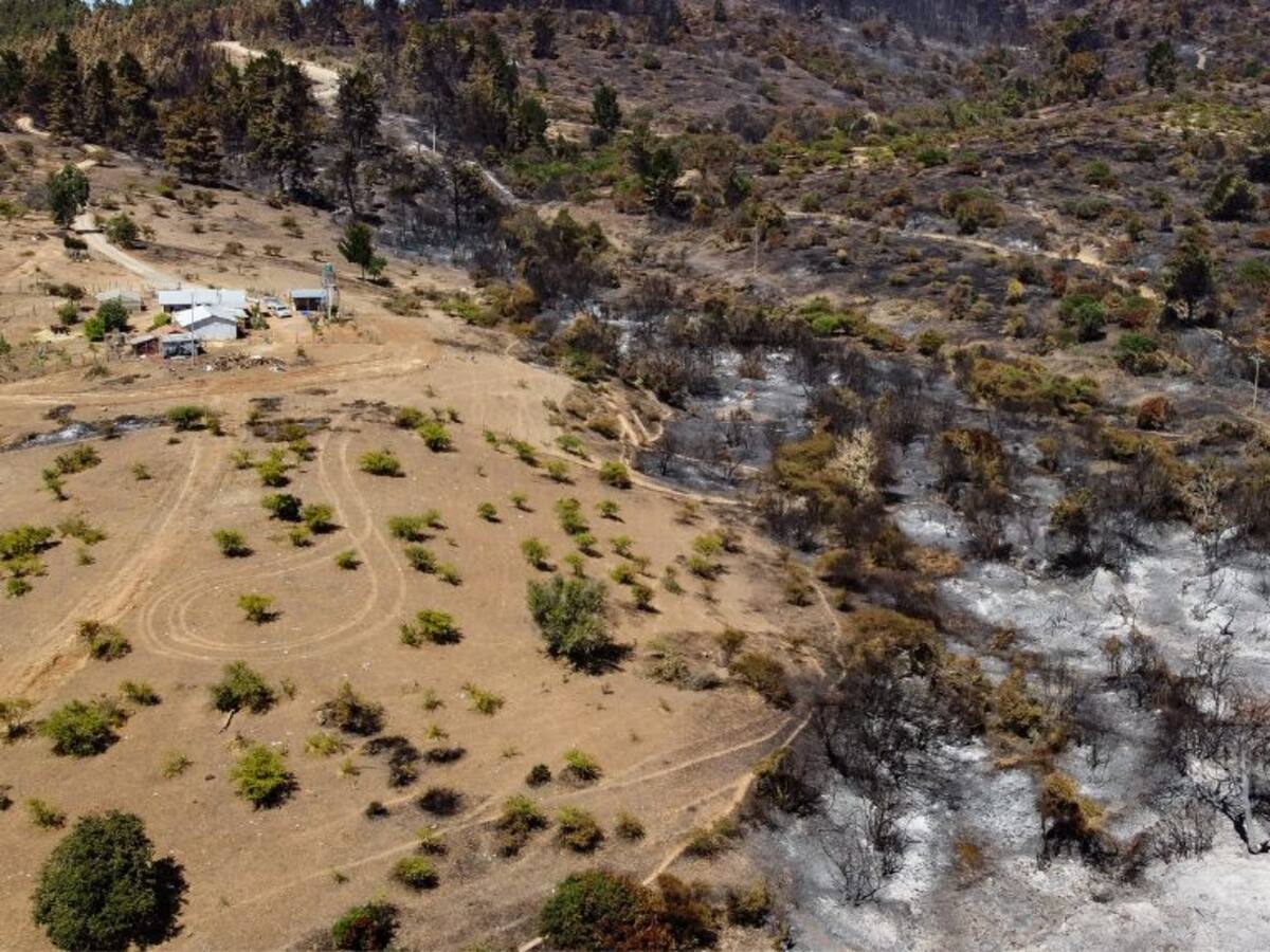 Balance de incendios forestales: Conaf concluye que 25% de estos han sido intencionales
