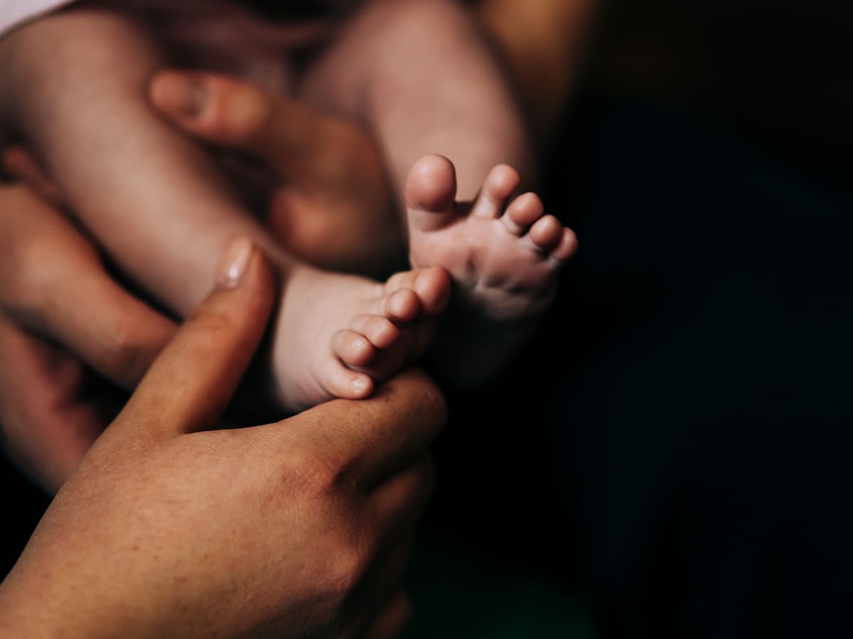 Gobierno cierra unidad creada para investigar adopciones ilegales: trabajo se traspasa a gabinete de la Subsecretaria de DD.HH