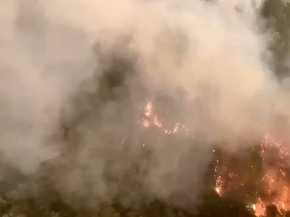 Incendios forestales: los desoladores registros de Conaf en la zona de combate en Santa Juana y Tomé