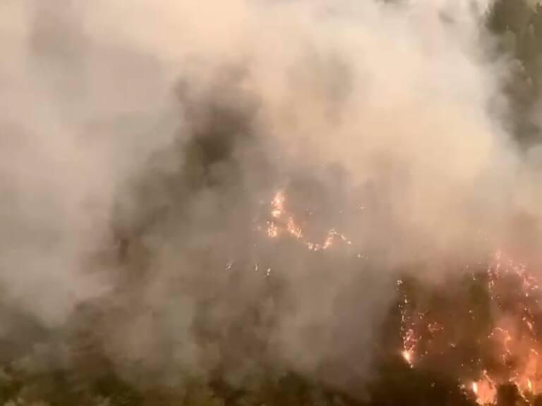Incendios forestales: los desoladores registros de Conaf en la zona de combate en Santa Juana y Tomé