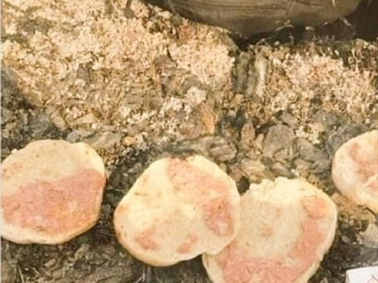 150 brigadistas de la Conaf iniciaron huelga por precarias condiciones laborales