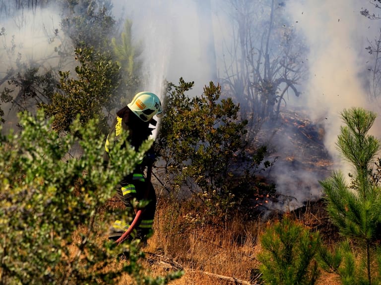 Comandante del Cuerpo de Bomberos de Lota por incendios forestales: «Uno de los puntos críticos ha sido la demografía»