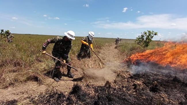 Trabajadores buscan impedir la expansión del incendio forestal de El Tuparro
