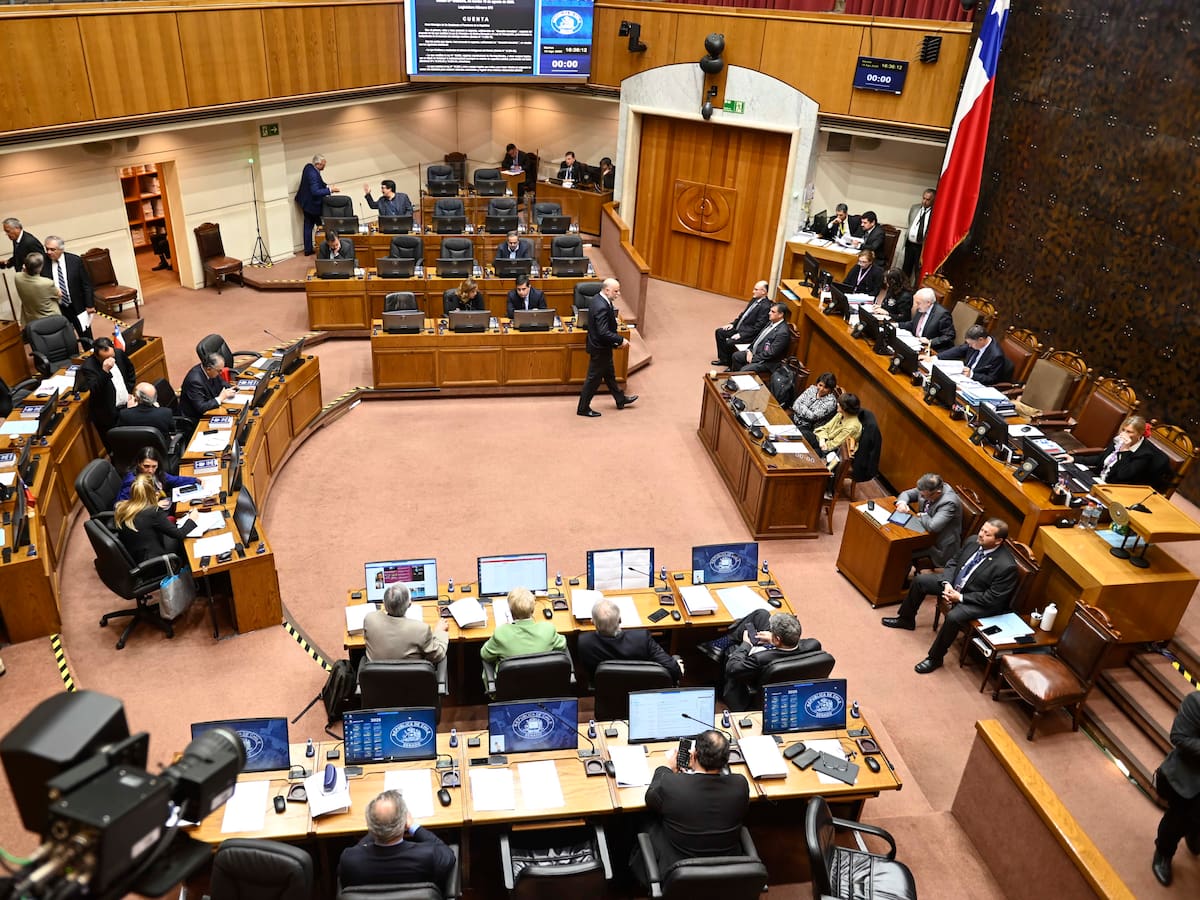 Comisión del Senado aprueba multas por no votar: ¿cuánto deberán pagar las personas que no sufraguen?