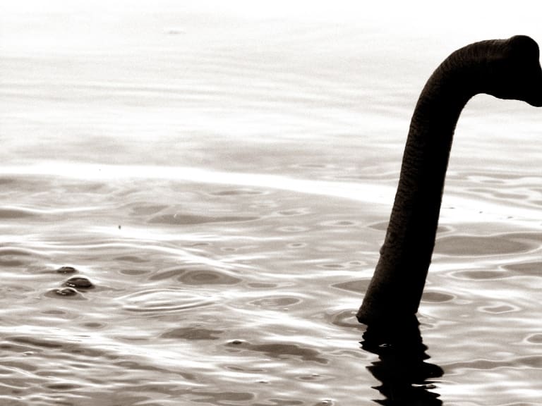 Escocia: operativo para retomar la búsqueda del monstruo del lago Ness congregó a cientos de voluntarios
