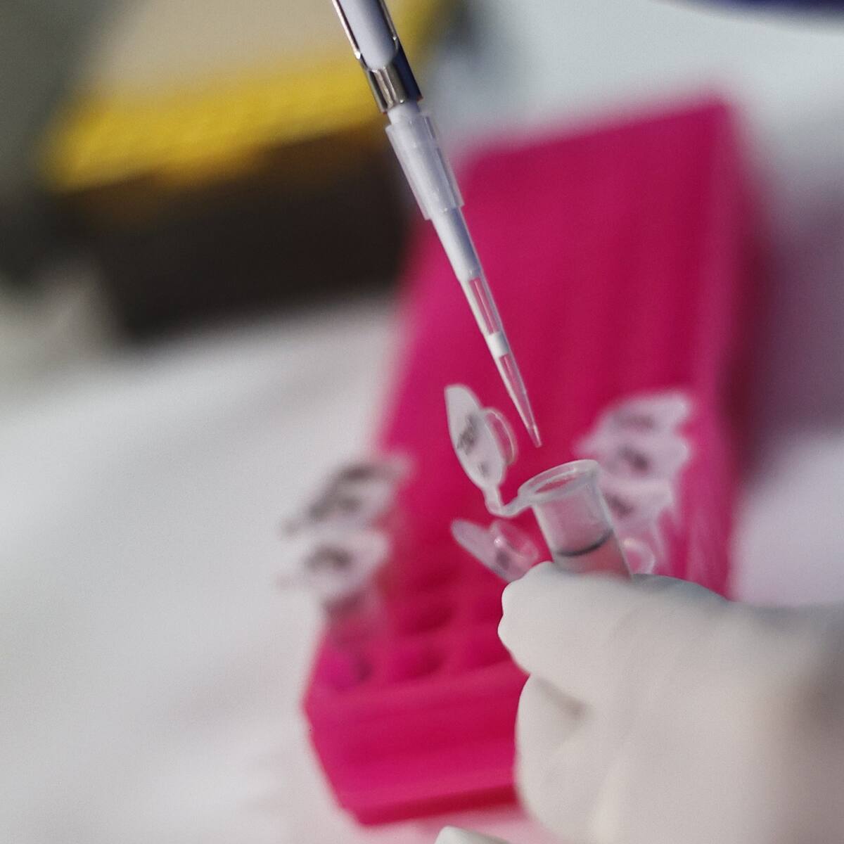 Expertos critican dificultad para comercializar en Chile medicamentos genéricos de Semaglutida