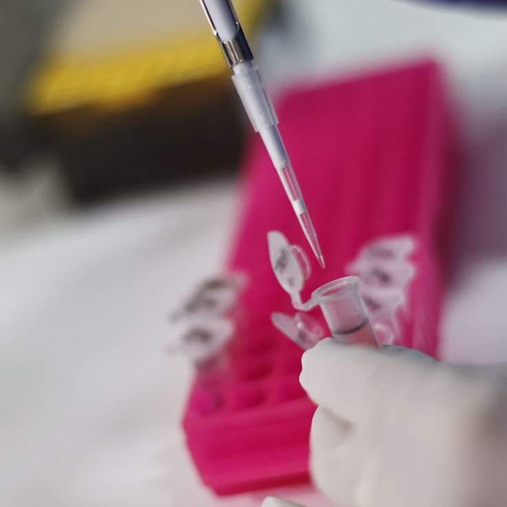 Expertos critican dificultad para comercializar en Chile medicamentos genéricos de Semaglutida
