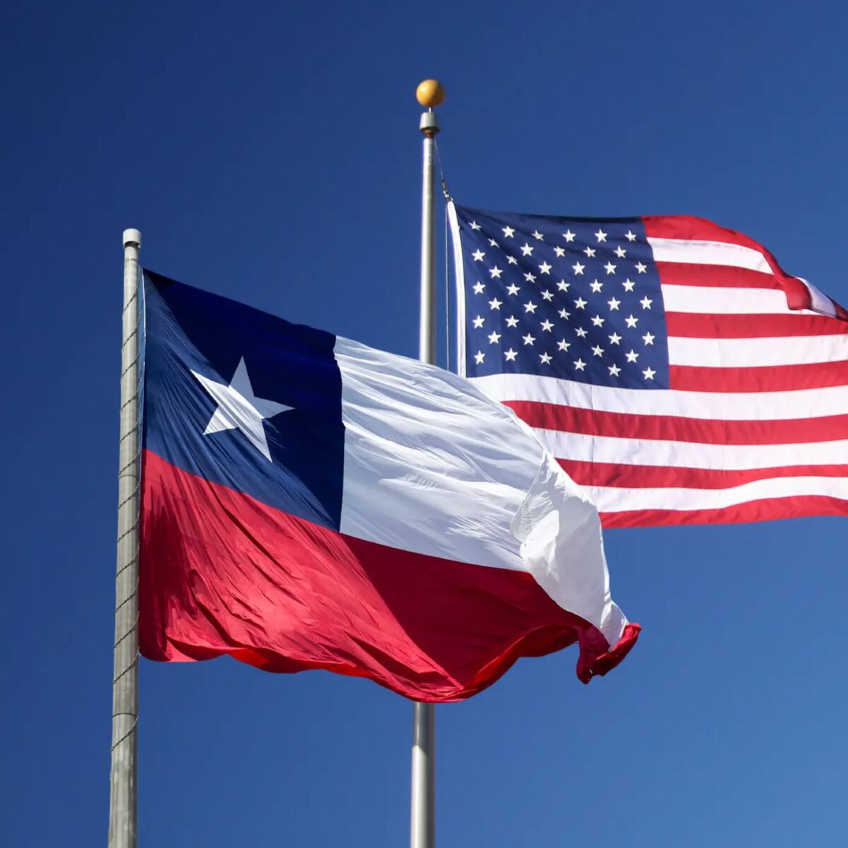 Chilenos buscan nuevas vías legales para migrar o invertir en Estados Unidos: conoce las diversas alternativas disponibles para lograr objetivos