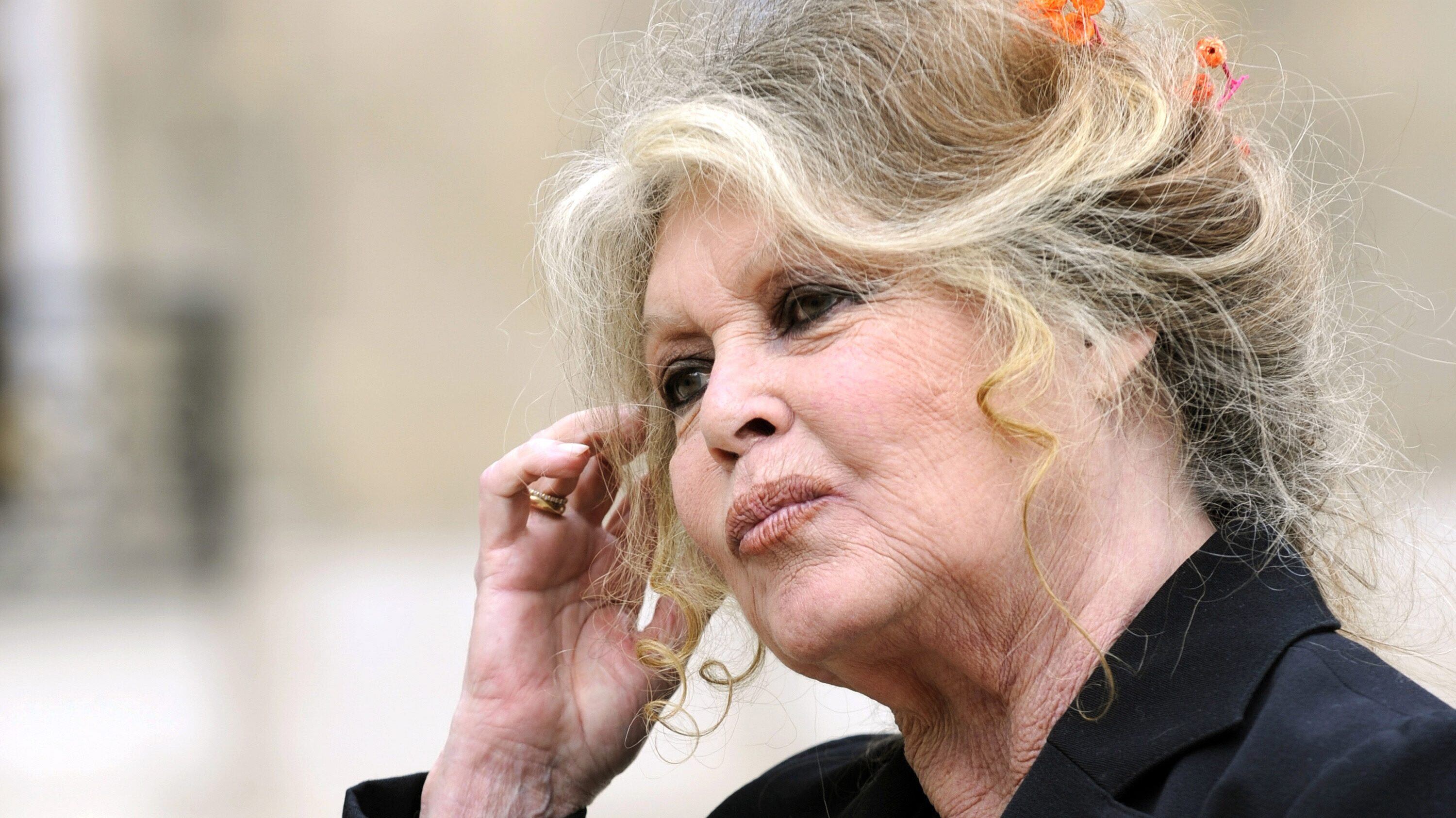 FILES - A picture taken on September 27, 2007 shows French film legend and animal rights activist Brigitte Bardot posing at the Elysee palace in Paris after a meeting with French President Nicolas Sarkozy. Bardot, France's 1960s screen icon, received a 15,000-euro (23,000 dollar) fine on June 3, 2008 for inciting hatred against Muslims. AFP PHOTO ERIC FEFERBERG (Photo credit should read ERIC FEFERBERG/AFP via Getty Images)
