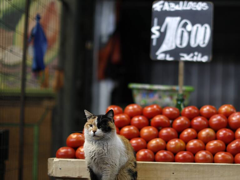 Subieron los tomates y la carne: IPC de septiembre subió 0,6%, su mayor nivel desde enero