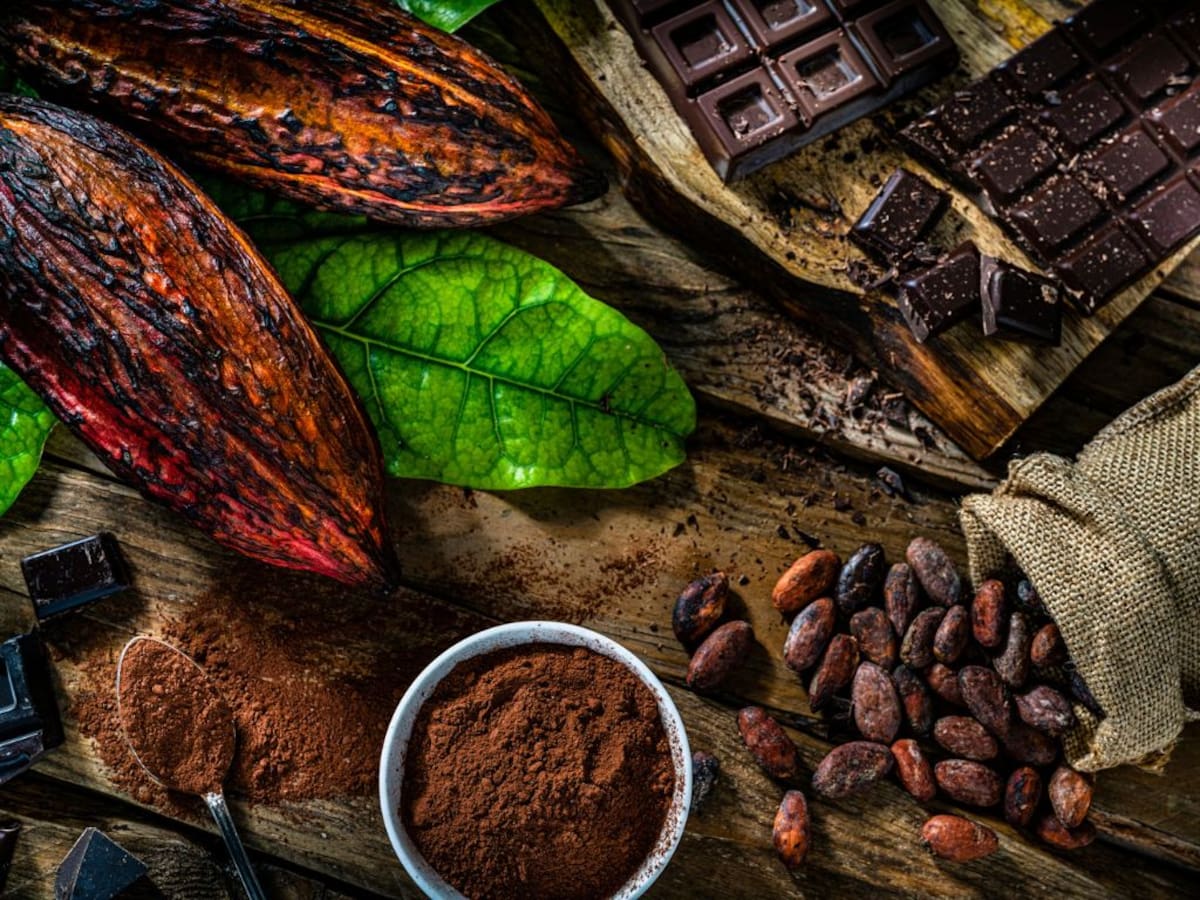 Día Mundial del Cacao: cuáles son los beneficios de comer todos los días y por qué es clave para la salud